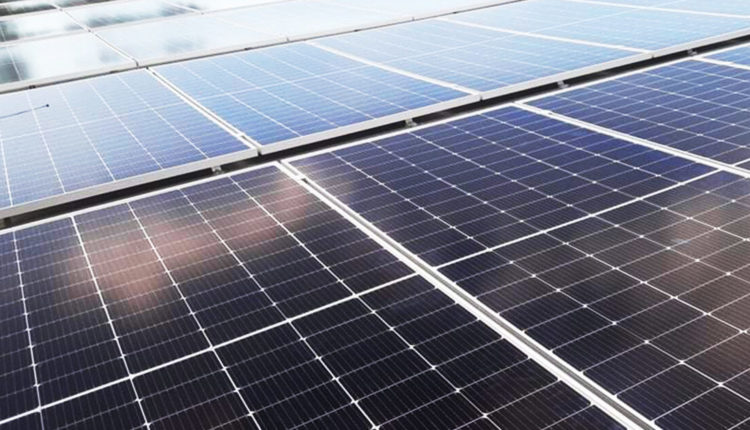 TYPES OF SOLAR PANELS: WHICH ONE IS FOR YOU?

